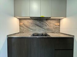 Leedon Green (D10), Condominium #460364341
